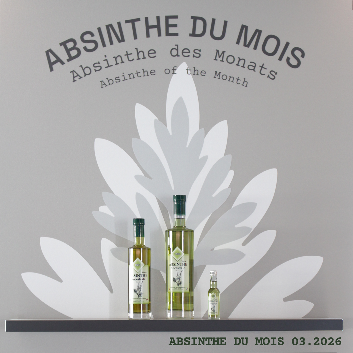 Ancestrale Verte 70%