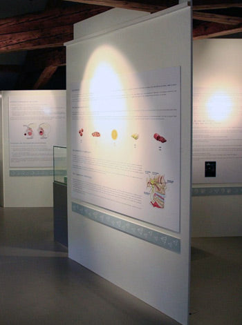 An absinthe recognition workshop in the Dans tous les sens exhibition