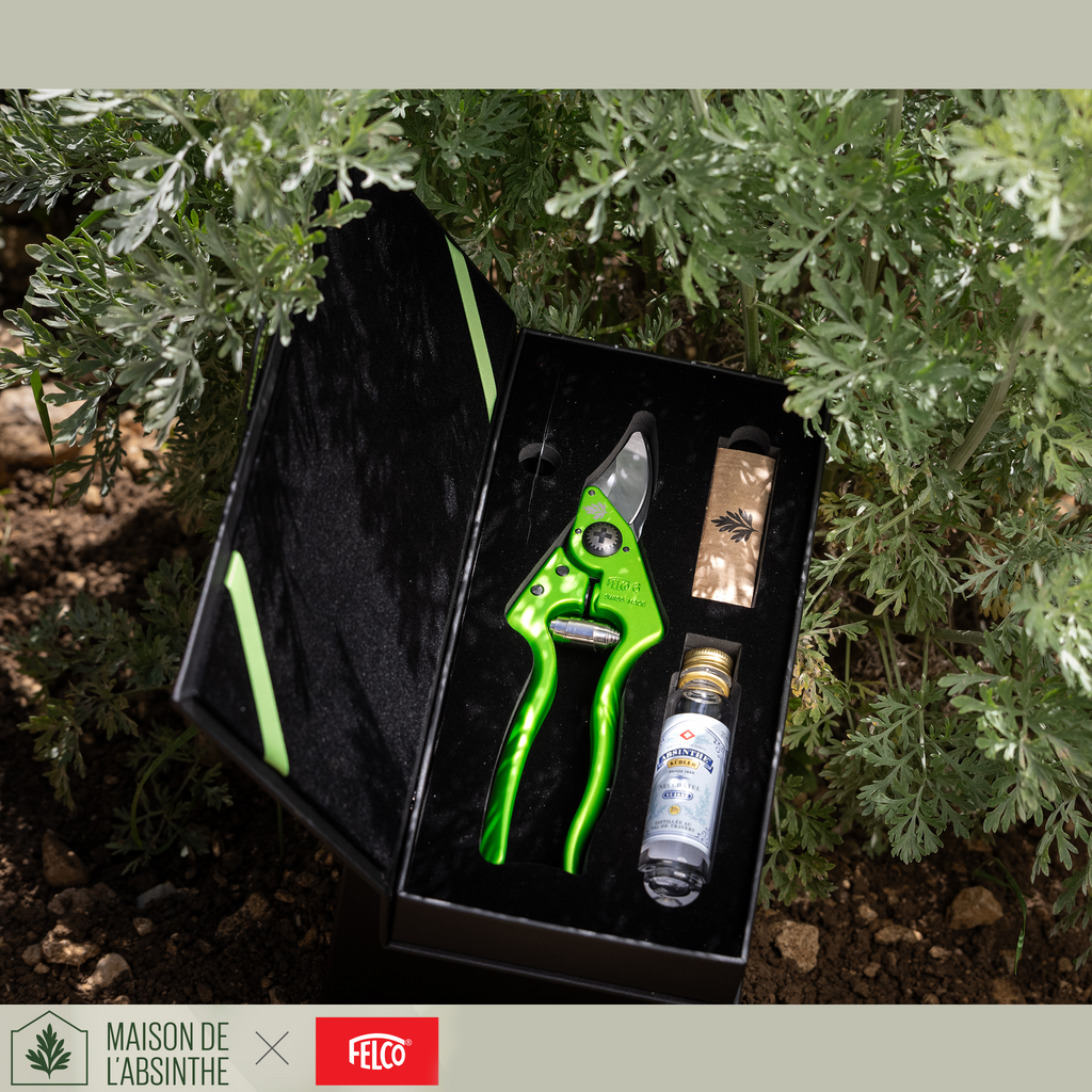 Coffret Botanique Felco x Maison de l'Absinthe