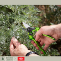 FELCO × Maison de l’Absinthe – Sécateurs Édition Limitée