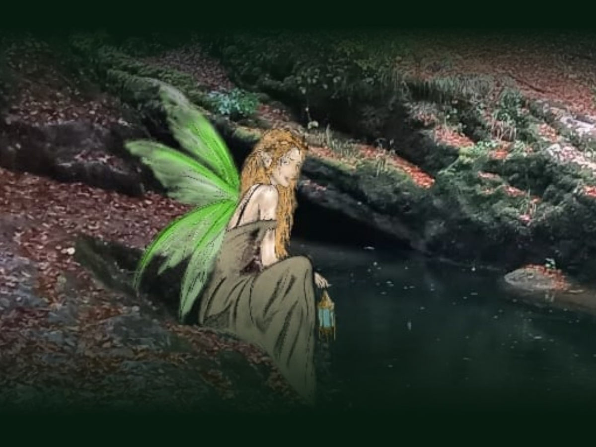 An illustrated fairy with green wings sitting by a woodland pool, holding a lantern