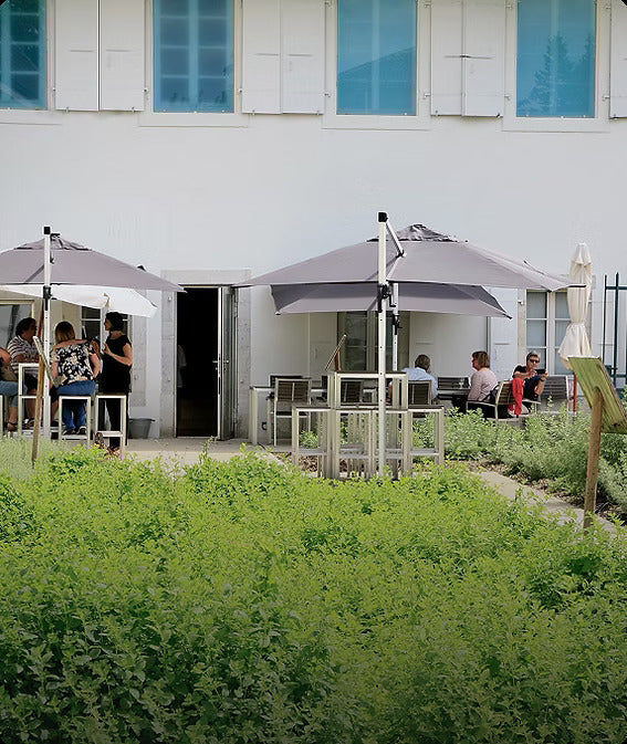 The absinthe garden and the terrace behind the Maison