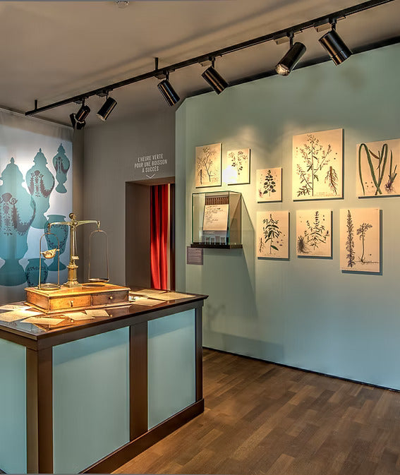 Museum room with botanical plates and a brass apothecary scale