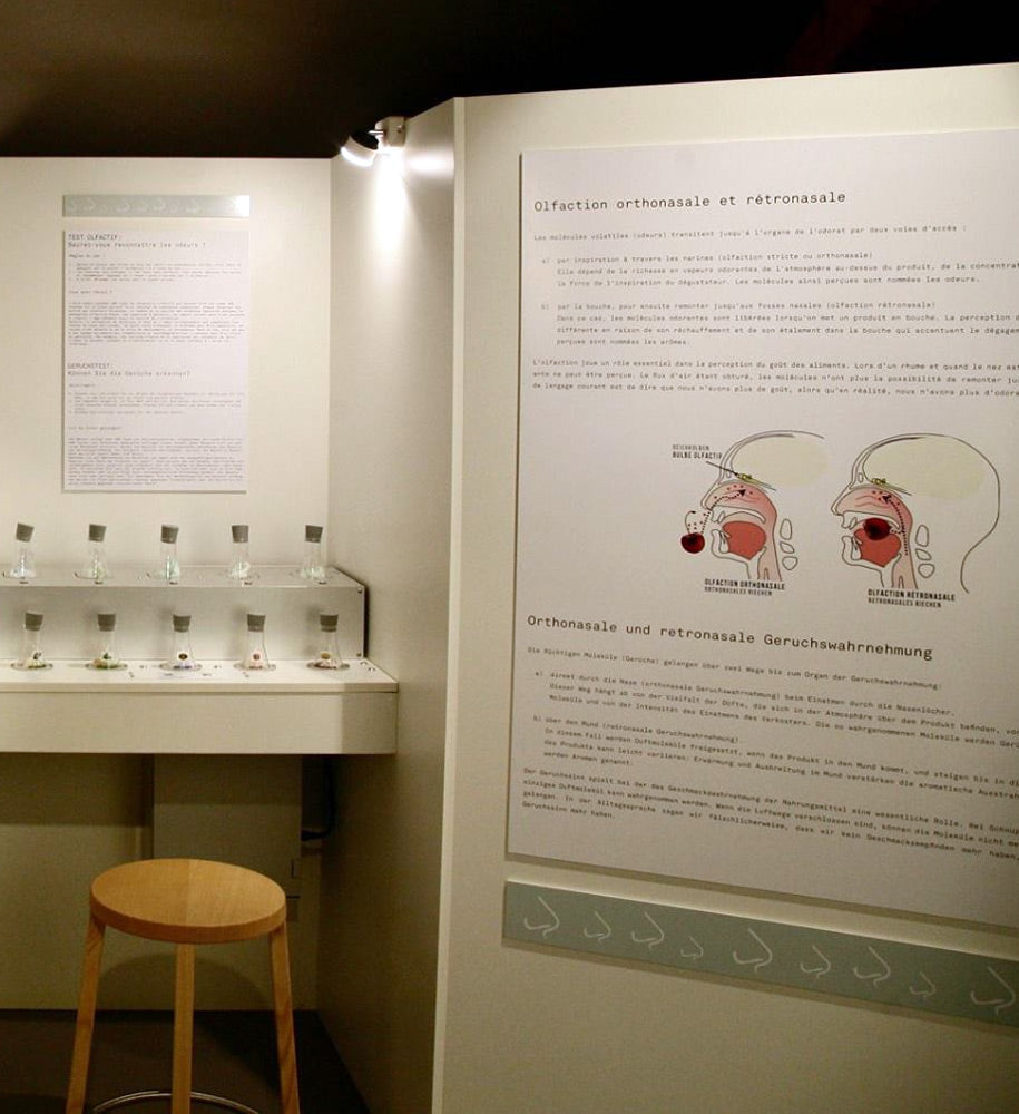 Entrance view of the Dans tous les sens exhibition at Maison de l'Absinthe
