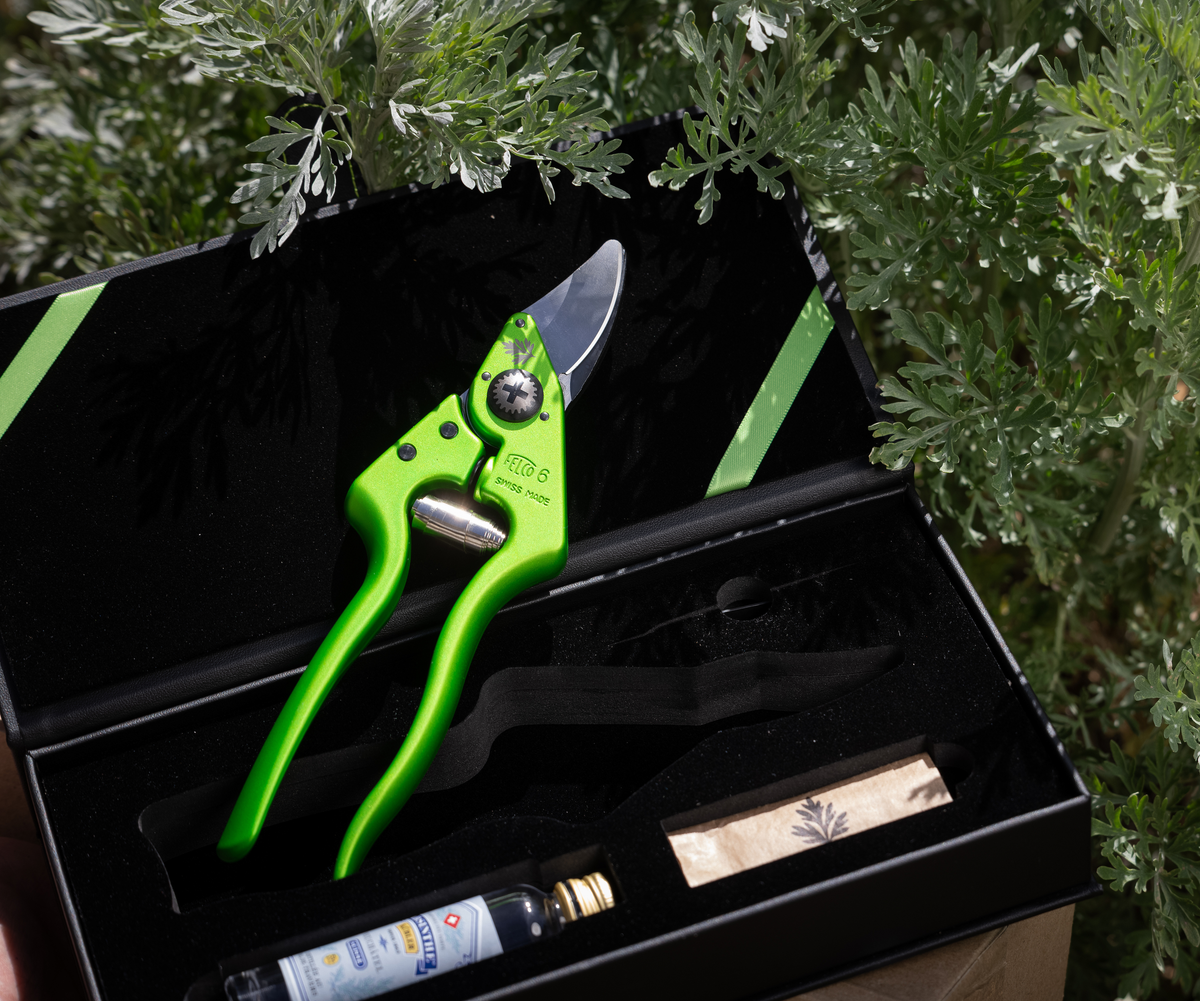FELCO × Maison de l’Absinthe – Sécateurs Édition Limitée